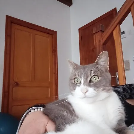 Nocleg ze śniadaniem Ty Samy Et Seb *